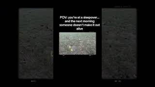 What Really Happened That Night? #news #crimeanalysis #crimestory
