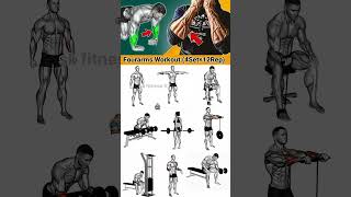 Fourarms Exercise Fourarms Exercise At Gym