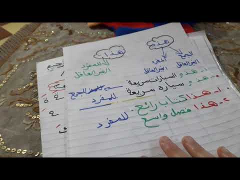 مين العاقل ومين الغير عاقل يلا نشوف 