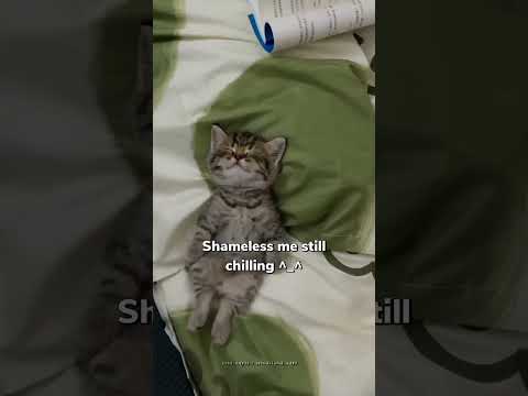 Dost Hai Wo Kawa De Gay Aesthetic Korea Pookie