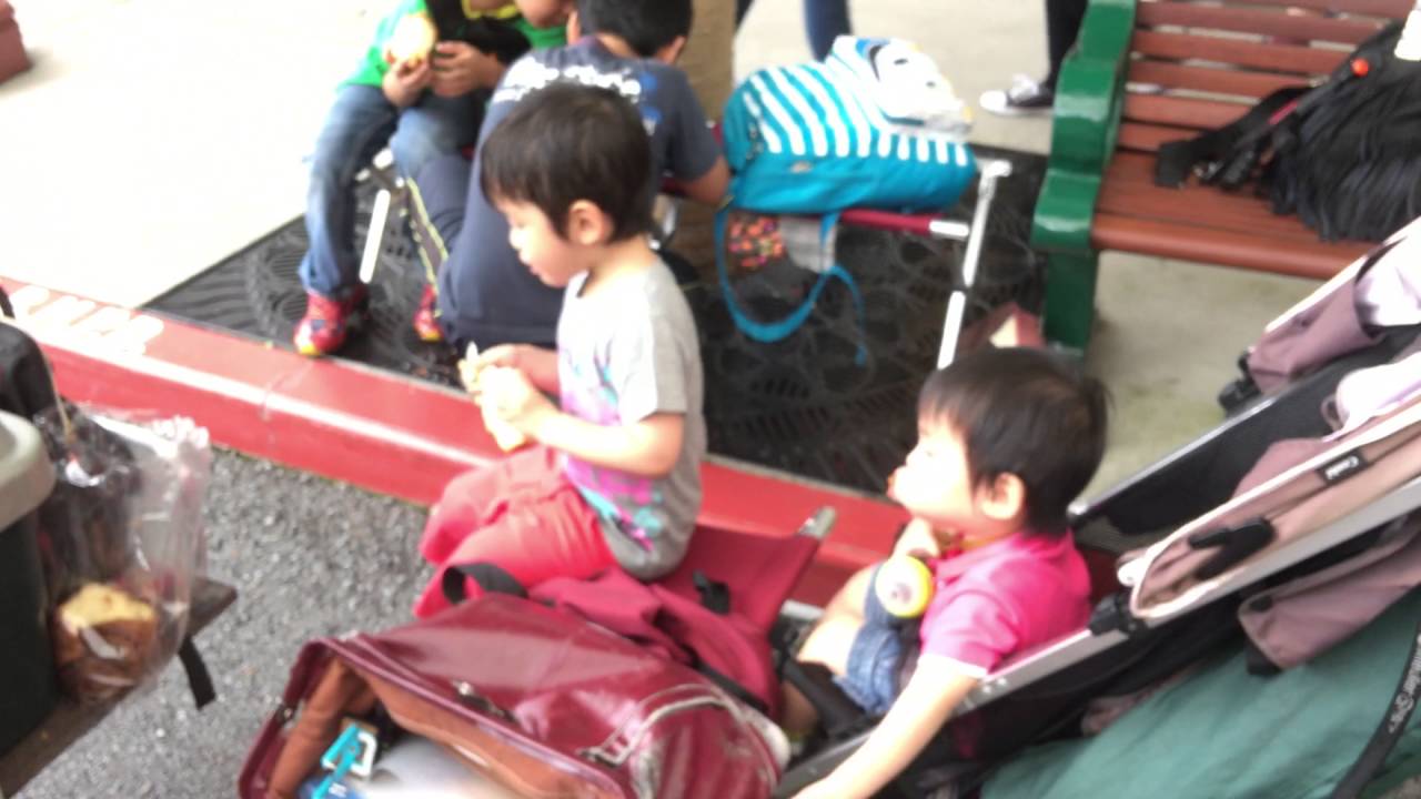 Download 家族 Usj 休憩中で 4k 16