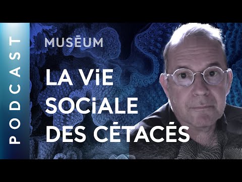 Vidéo: Les humains ont-ils des écotypes ?