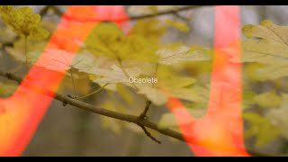 Obsolete A Large Format Photography Workshop