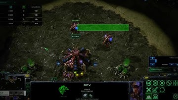 Starcraft 2 Zerg Speedling Build