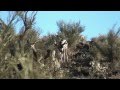 No excusesyouth deer hunt episode 2