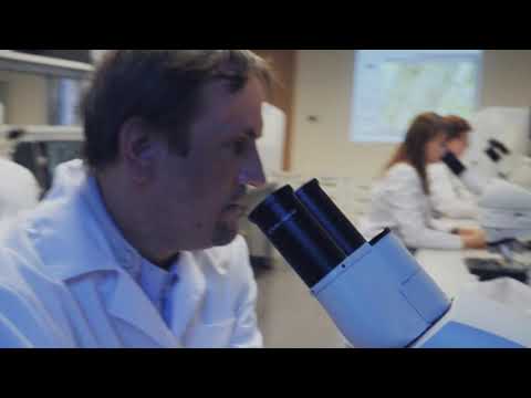 Video: Kā Noteikt šūnas Atrašanās Vietu