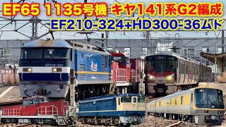 【EF65 1135号機 単機回送 キヤ141系G2編成 EF210-324号機+HD300-36号機(ムド)etc… 2024.3.8】