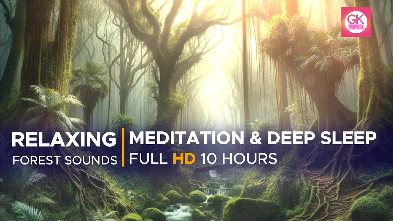 Forest Sounds for Meditation & Deep Sleep (10 Hours) #forestsounds # ...