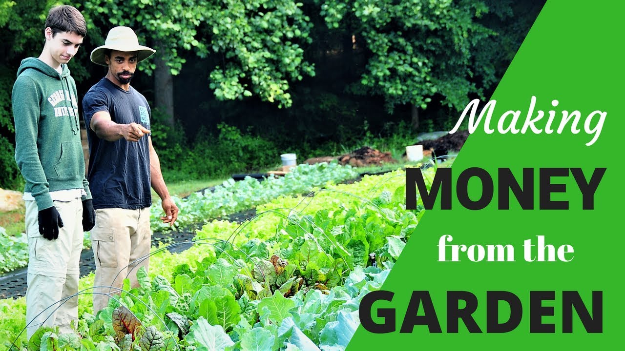 HOW WE MAKE MONEY from our ORGANIC market GARDEN!! YouTube