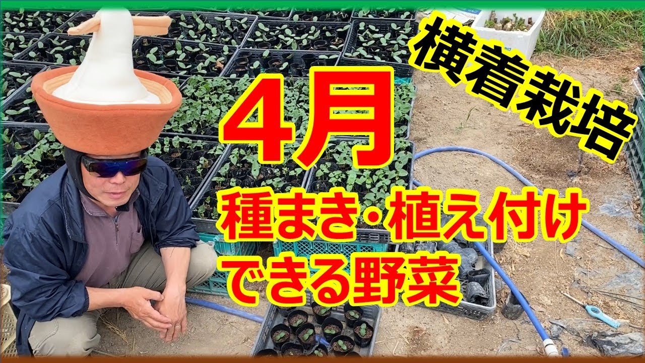 2月蒔き野菜 – 10月11月に植える野菜 , 2月に植える野菜｜種・苗・プランター菜園ガイド – RUAOX