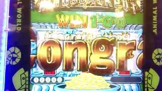 アニマルワールドでKings Jp獲得したーJp落ちが９８１枚とちょっと少なめだけどめちゃ嬉しい