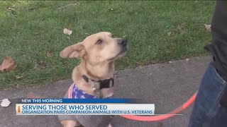 Organization provides comfort and therapy to veterans through service dogs