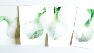 はがき絵 シンタマネギ（新玉ねぎ）Allium cepa 540p - YouTube