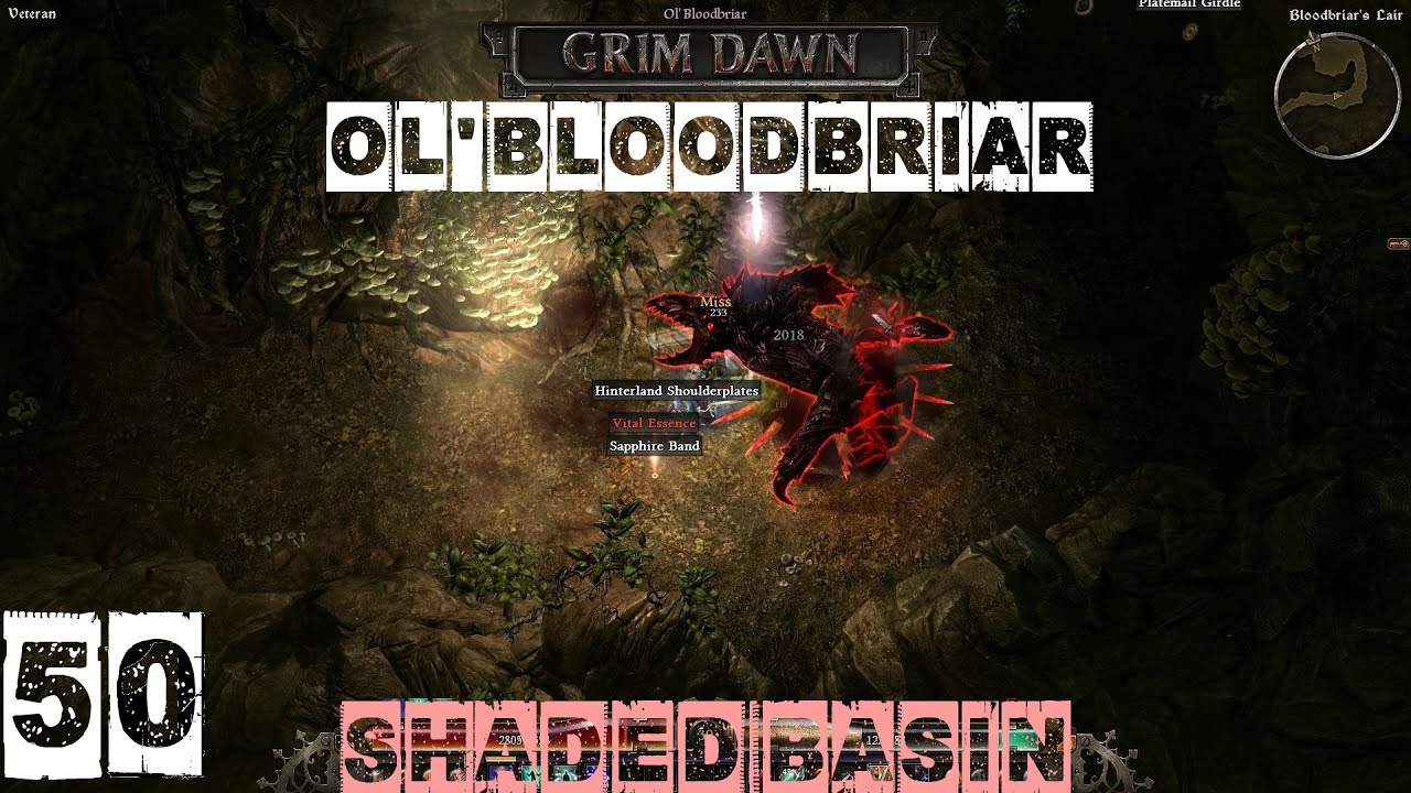 Grim Dawn Veteran (Blademaster) Part 50 - Shaded Basin (Ol' Bloodbriar Boss Fight)