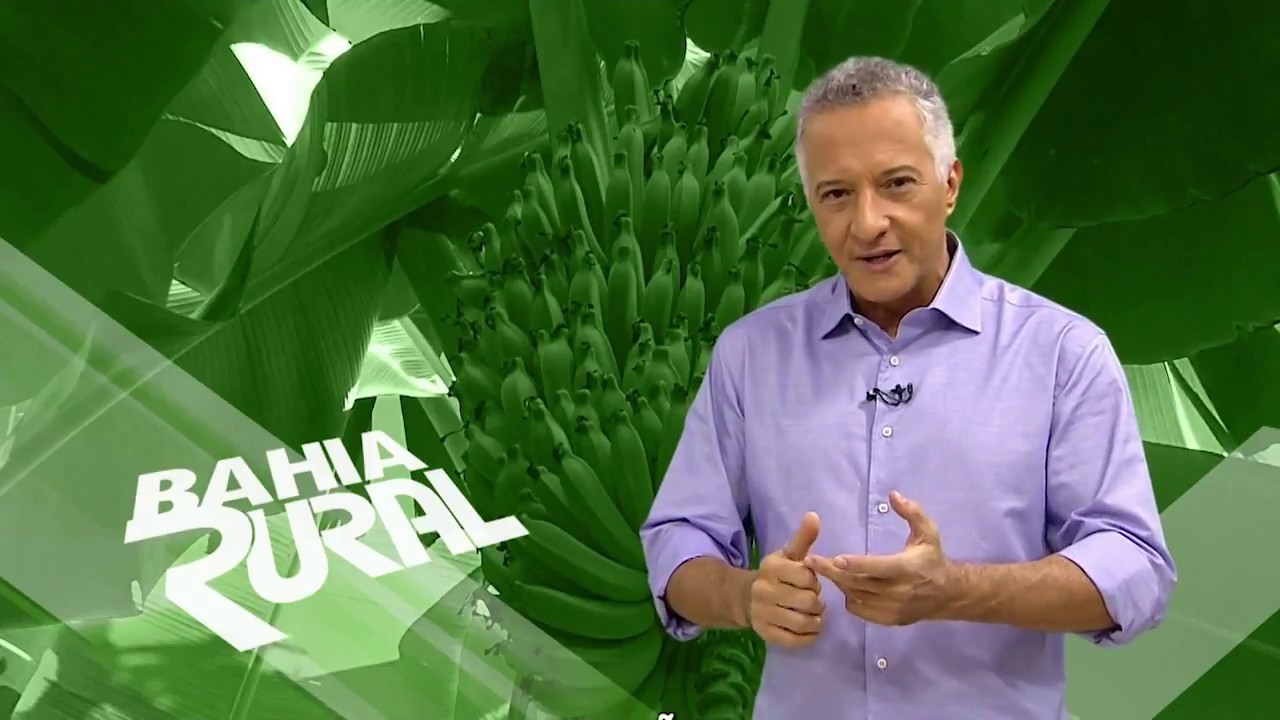 Bom Jesus da Lapa se orgulha em ser o maior produtor de banana do Brasil