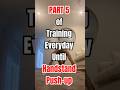 A RollerCoaster of Emotions. - Part 5 of Handstand Push Up Journey #calisthenics