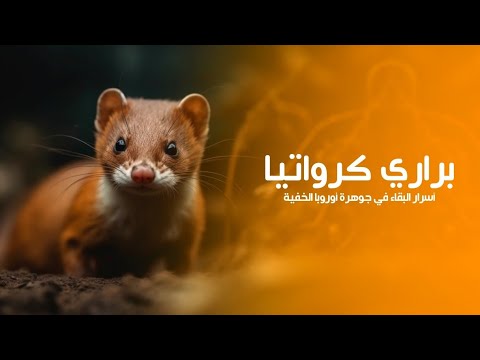 براري كرواتيا لؤلؤة أوروبا المخبأة أسرار العيش في أرض الطبيعة العذراء كويست عربية Quest Arabiya