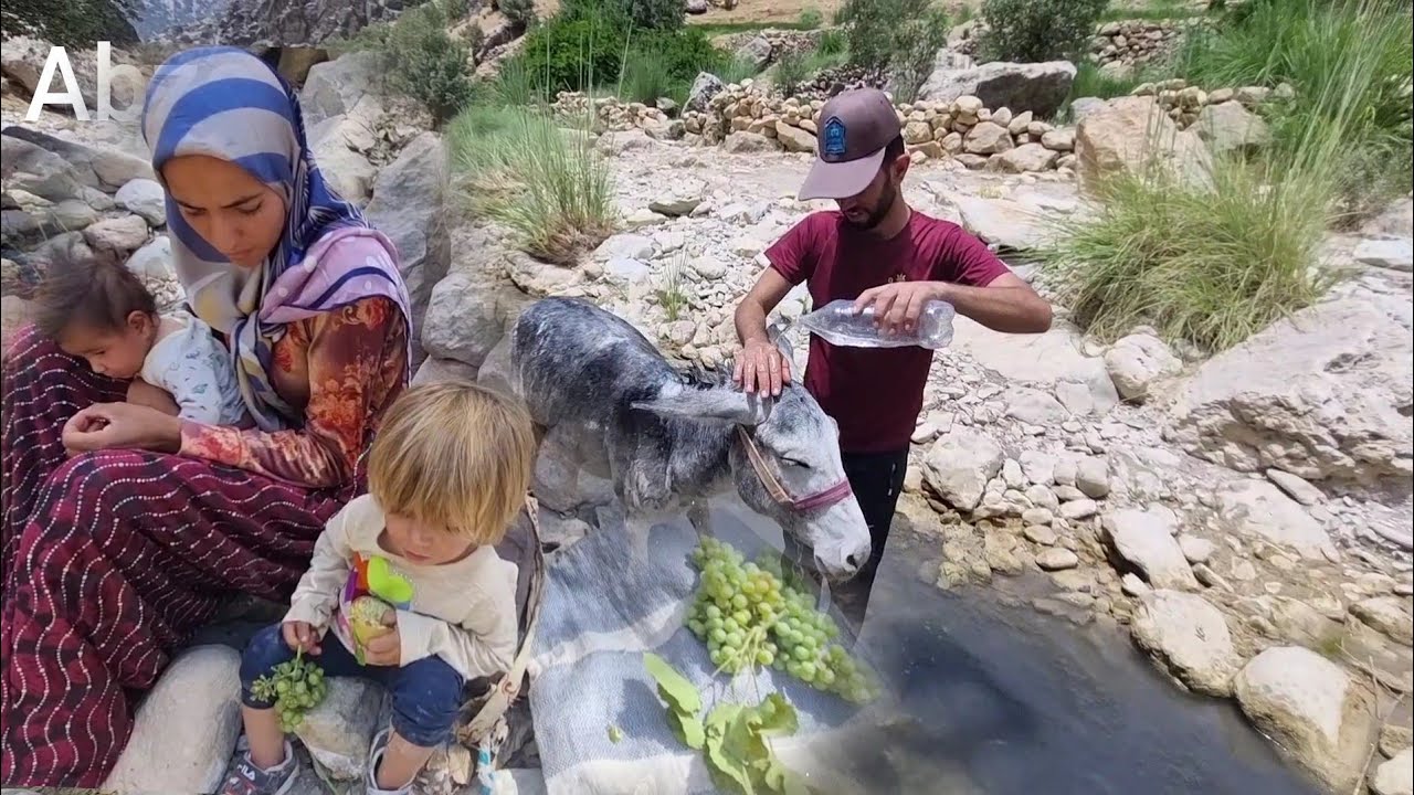Nomadic Chronicles 🍃: From Fruit-Picking to Donkey Baths – A Day in Nomadic Life 🍎🚿🐴