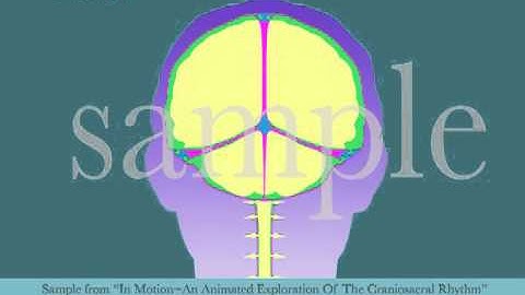 Intracranial Membrane System CSR Motion by Tad Wanveer