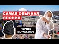 Настоящая Япония: Черное мороженое и местная японская еда