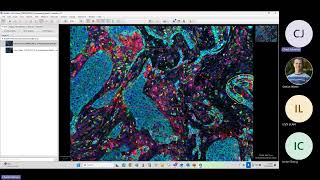Fundamentals of QuPath  (Part 2) - Machine Learning using Multiplexed Datasets