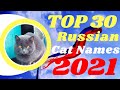 Top 30 Most Popular Male And Female Russian Cat Names With Meaning 2021 ! Unique Pet Names