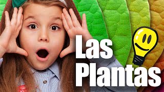 Podcast para niños en español | LAS PLANTAS | Chamacos ¡al aire!