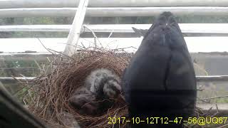20171012T1230~1300