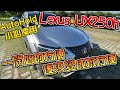 Lexus UX250h 8個月使用心得｜老婆的第一部車｜看了CX30｜A4 Avant｜Model3 ft.@梨李부부Lily Bubu