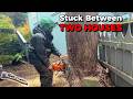This tree was STUCK between two houses?! Tricky hemlock removal! thumbnail