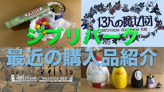 購入品紹介】ジブリパークで我慢できずに買っちゃったもの紹介 - YouTube