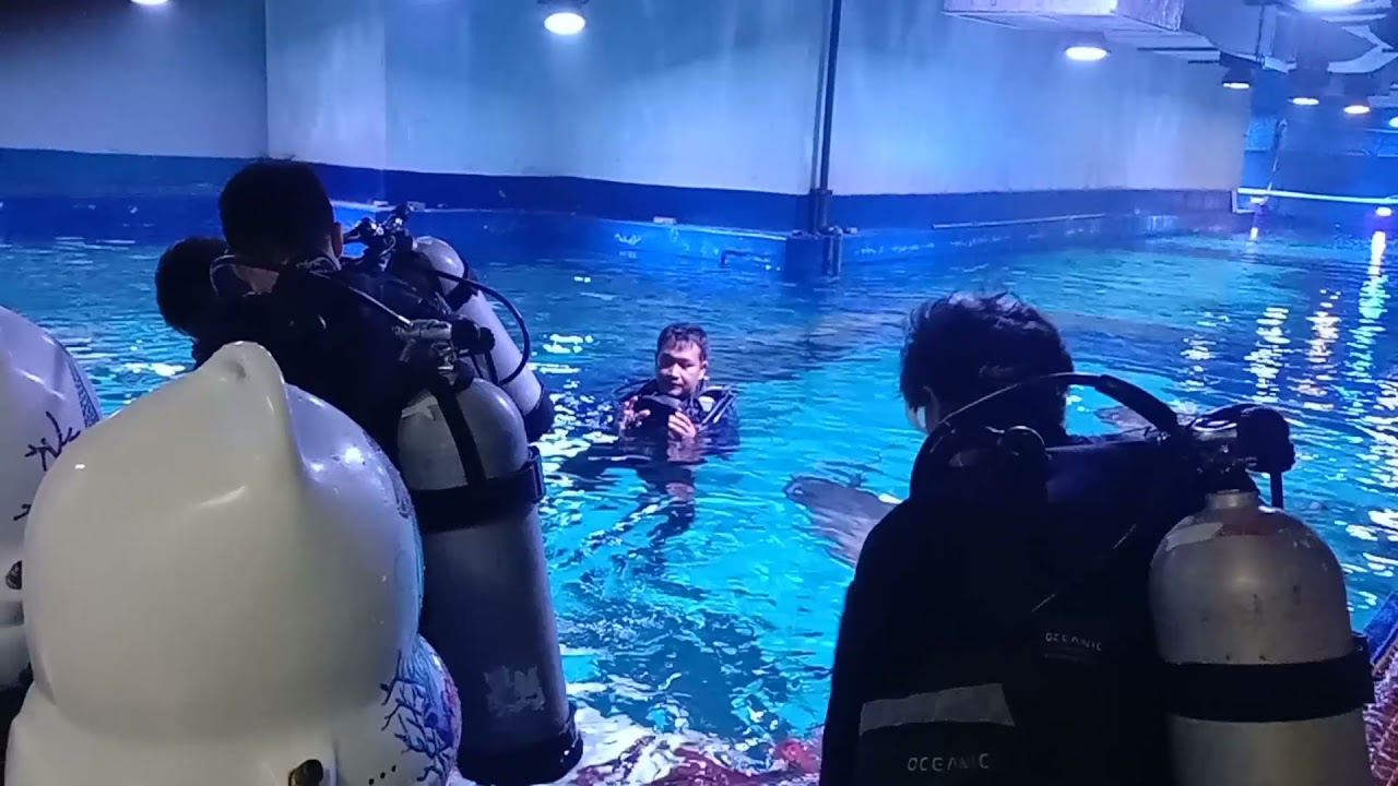 Java Scuba x Jakarta Aquarium  | Dive Center Jakarta | Dive Course Japanese Guest