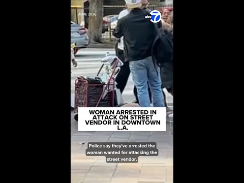 Woman arrested in attack on street vendor in downtown L.A.
