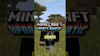 Minecrafts Most Controversial Updates!