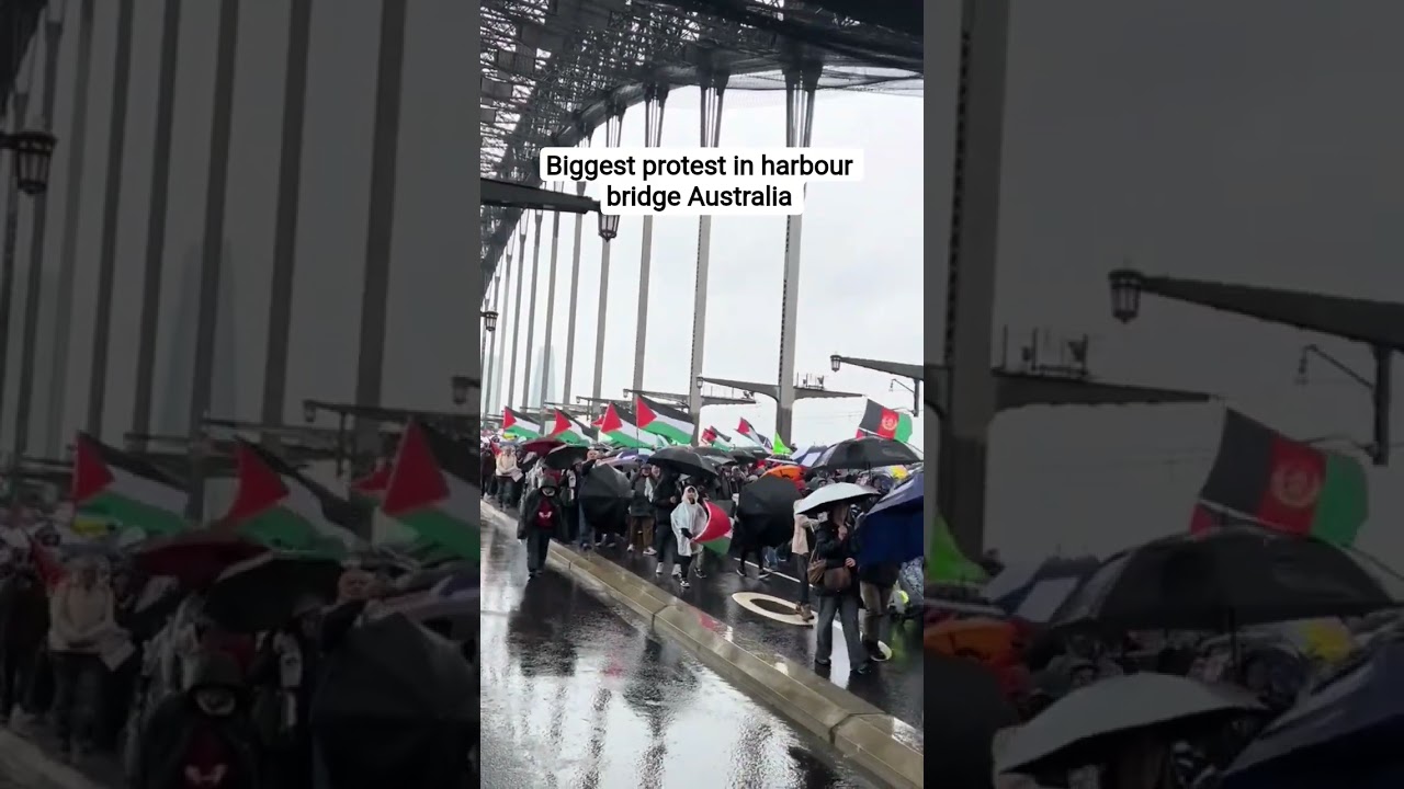 Harbour bridge protest support Palestine 🇵🇸