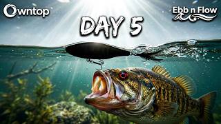 100 Days, 100 Baits | Day 5: Does the Berkley Cane Walker Work?