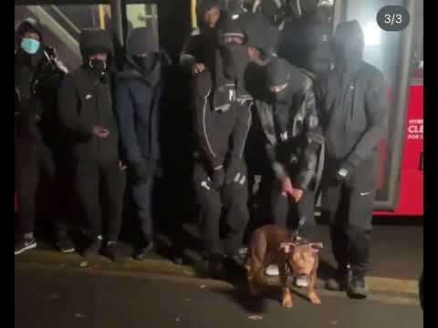 #STK TapeDat - Black Yute #Exclusive #LeakDat