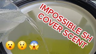 What Is The Best Cover Scent For Soft Washing? screenshot 5