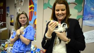 Homeward Bound visits Cheat Lake Elementary 5-13-15