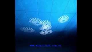 Wg-G2022 60W Fixed Gobo Led Scanner