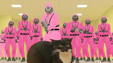 OIIAOIIA Cat in Squid Game Season 2 🐈🔥