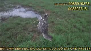 LATEST HEART SOUND 2025. HEART TRAP WITH NET USING EXTREMELY COOL CHINESE HEART SOUND TOO MANY BI...