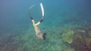 Freediving at Green Island - Sept 2017 - Behind the Scenes