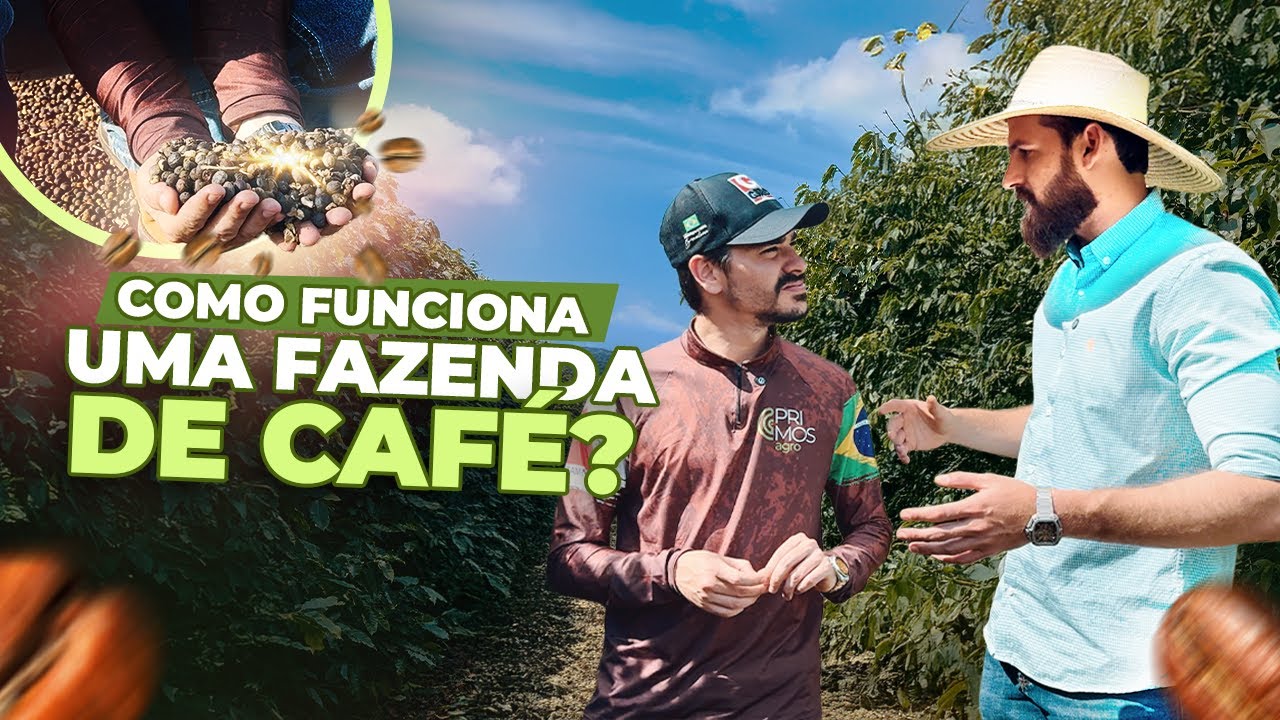 COMO FUNCIONA UMA LAVOURA DE CAFÉ? #PRIMOSAGRO MOSTRA!