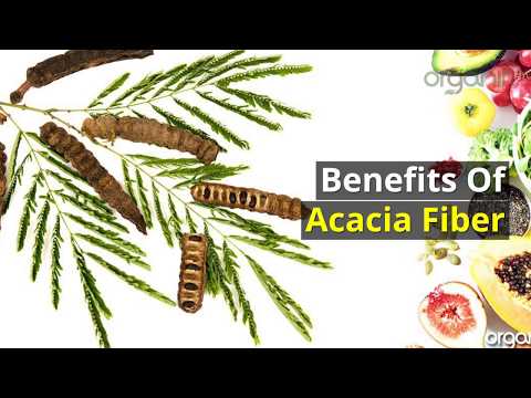 The Benefits of Acacia Fiber - The Benefits of Acacia Fiber