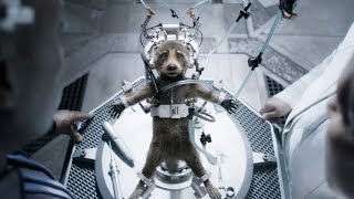 Rocket&#39;s most Emotional Scenes (Guardians of the Galaxy Vol. 3)