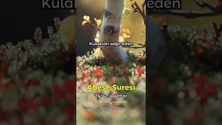 Abese 24 - 42 Ayetler