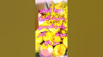 سورة قريش بصوت💛أكثر من رائع 💚 الشيخ ياسر الدوسري 🌼