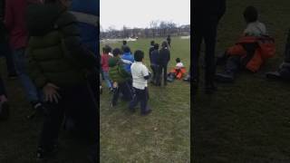 Toral And Couzens Cl P.s.33