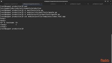 Hands-On Infrastructure Automation with Puppet 6: Simple Web Server | packtpub.com